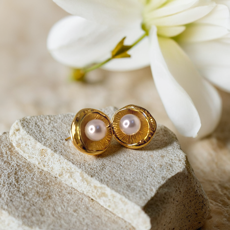 Pearl In Shell Studs Earrings